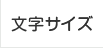 文字サイズ